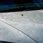 Hail Damage Repair Cost