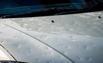 Hail Damage Repair Cost